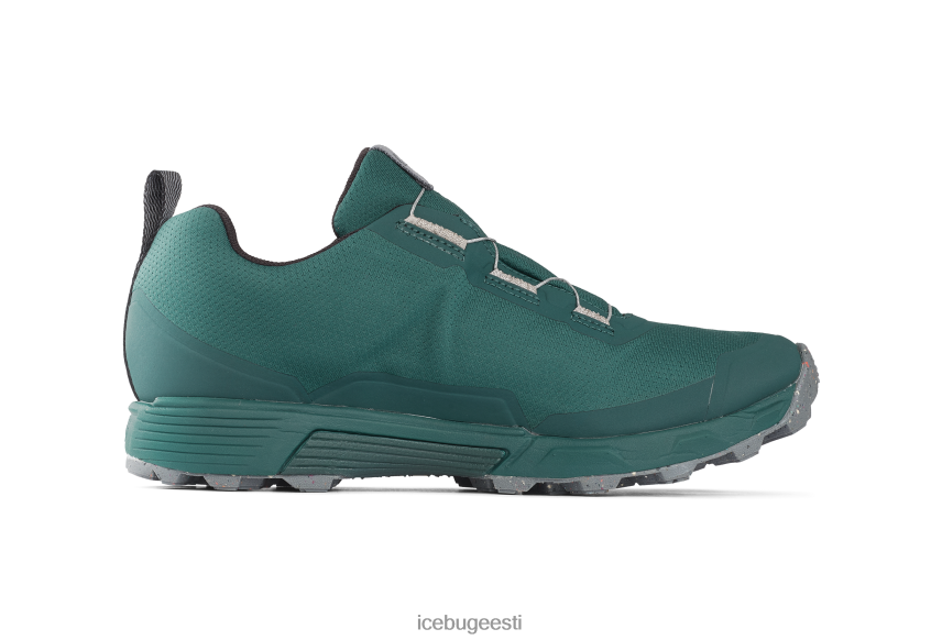 Icebug rover rb9x gtx mehed sinine/kivi jalatsid B4886683