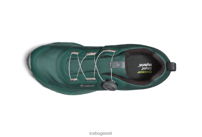 Icebug rover rb9x gtx mehed sinine/kivi jalatsid B4886683