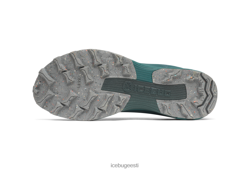 Icebug rover rb9x gtx mehed sinine/kivi jalatsid B4886683