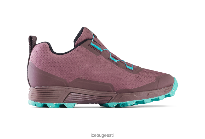 Icebug rover rb9x gtx naised tolmuploom/münt jalatsid B4886615