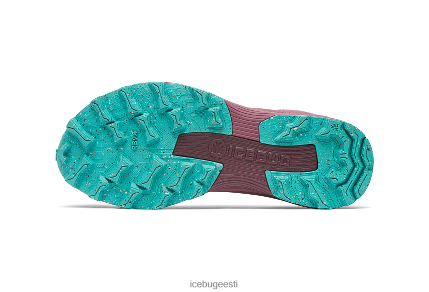 Icebug rover rb9x gtx naised tolmuploom/münt jalatsid B4886615
