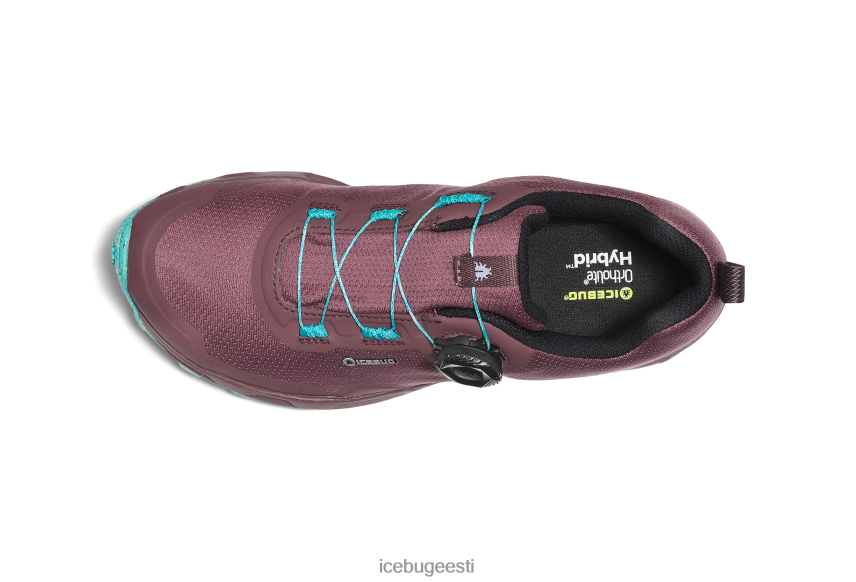 Icebug rover rb9x gtx naised tolmuploom/münt jalatsid B4886615