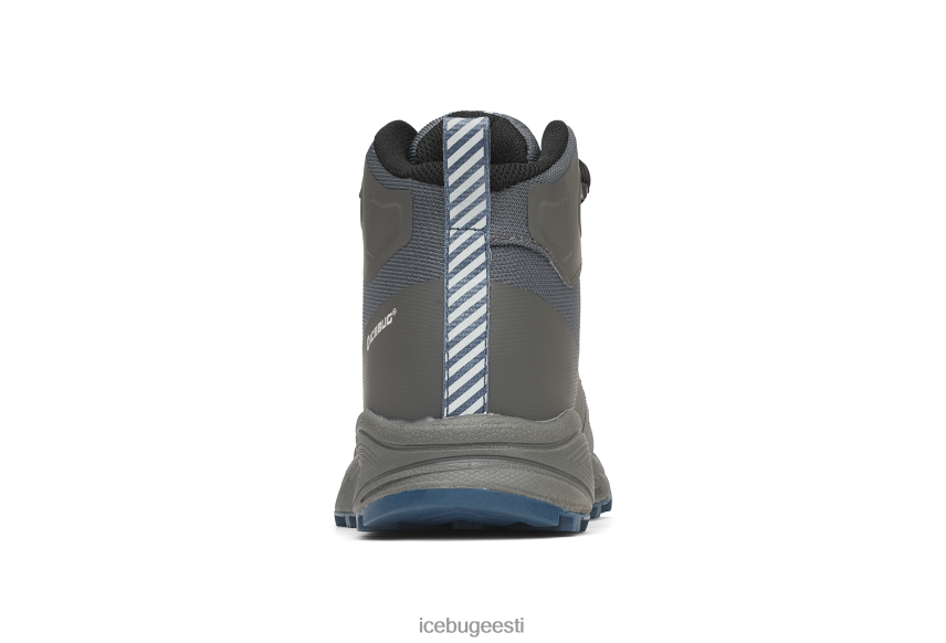 Icebug haze mid biosole gtx naised turbahall jalatsid B4886654