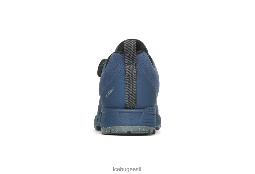 Icebug rover rb9x gtx naised mustikas jalatsid B4886649