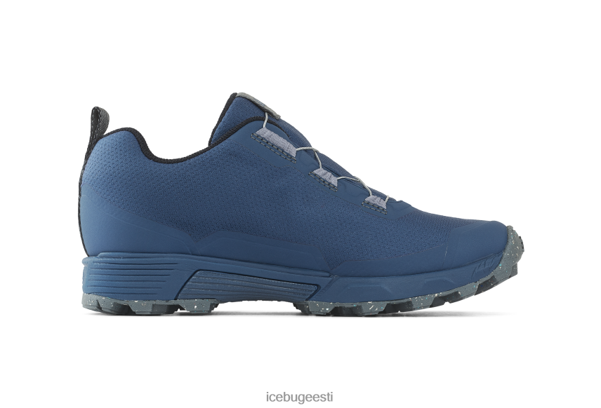 Icebug rover rb9x gtx naised mustikas jalatsid B4886649