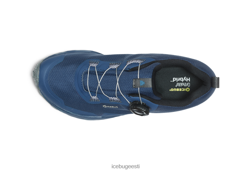 Icebug rover rb9x gtx naised mustikas jalatsid B4886649