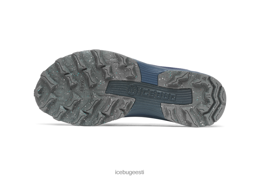 Icebug rover rb9x gtx naised mustikas jalatsid B4886649