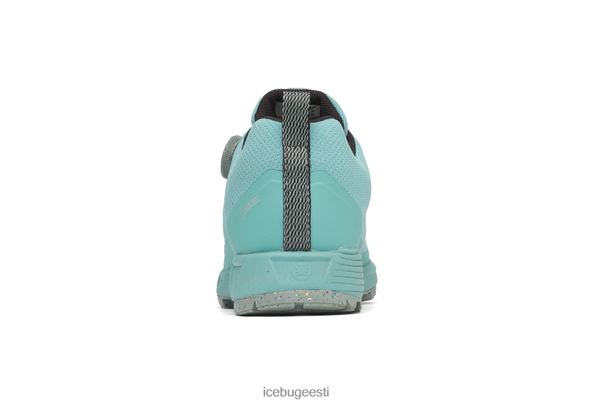 Icebug rover rb9x gtx naised tolmusinine/kivi jalatsid B4886650