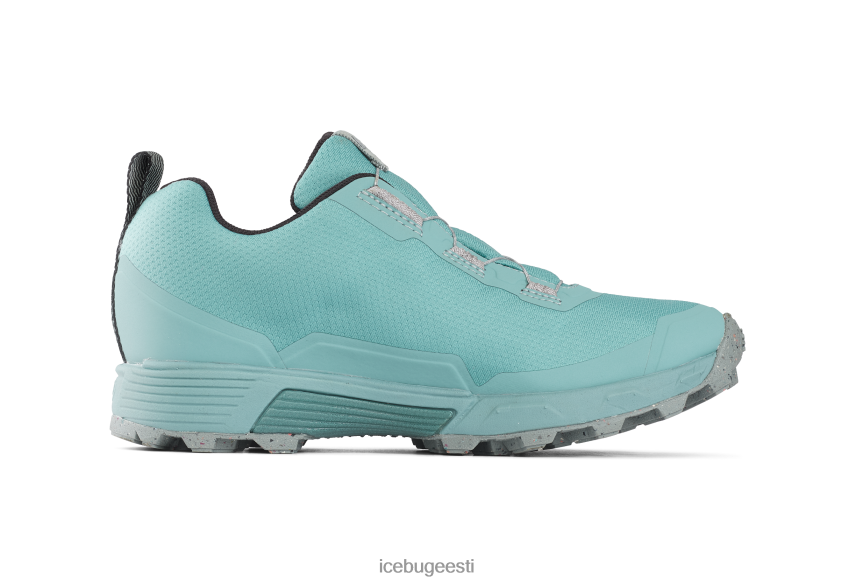 Icebug rover rb9x gtx naised tolmusinine/kivi jalatsid B4886650