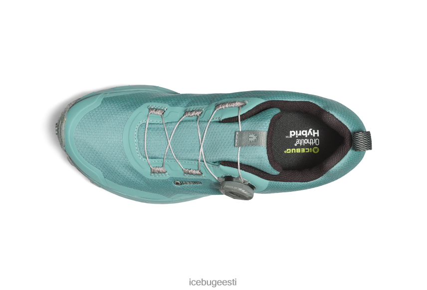 Icebug rover rb9x gtx naised tolmusinine/kivi jalatsid B4886650