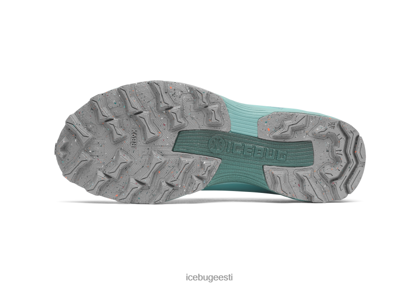 Icebug rover rb9x gtx naised tolmusinine/kivi jalatsid B4886650